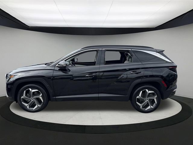 Certified 2023 Hyundai Tucson Limited w/ Cargo Package image 13