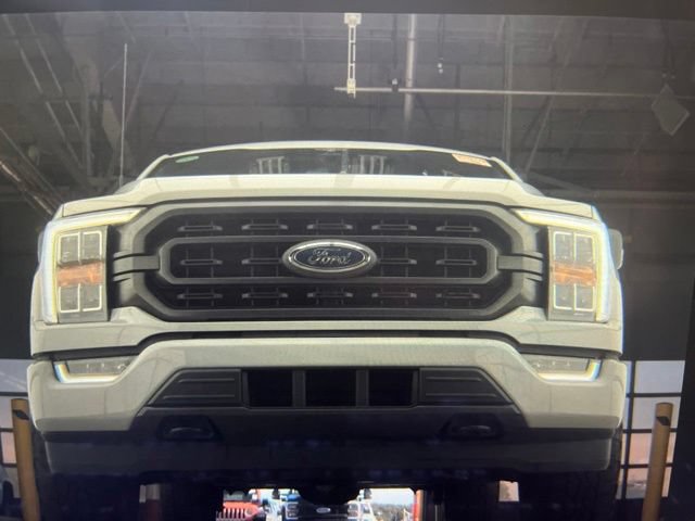 Used 2023 Ford F150 XLT w/ Equipment Group 302A High AWD/4WD image 11