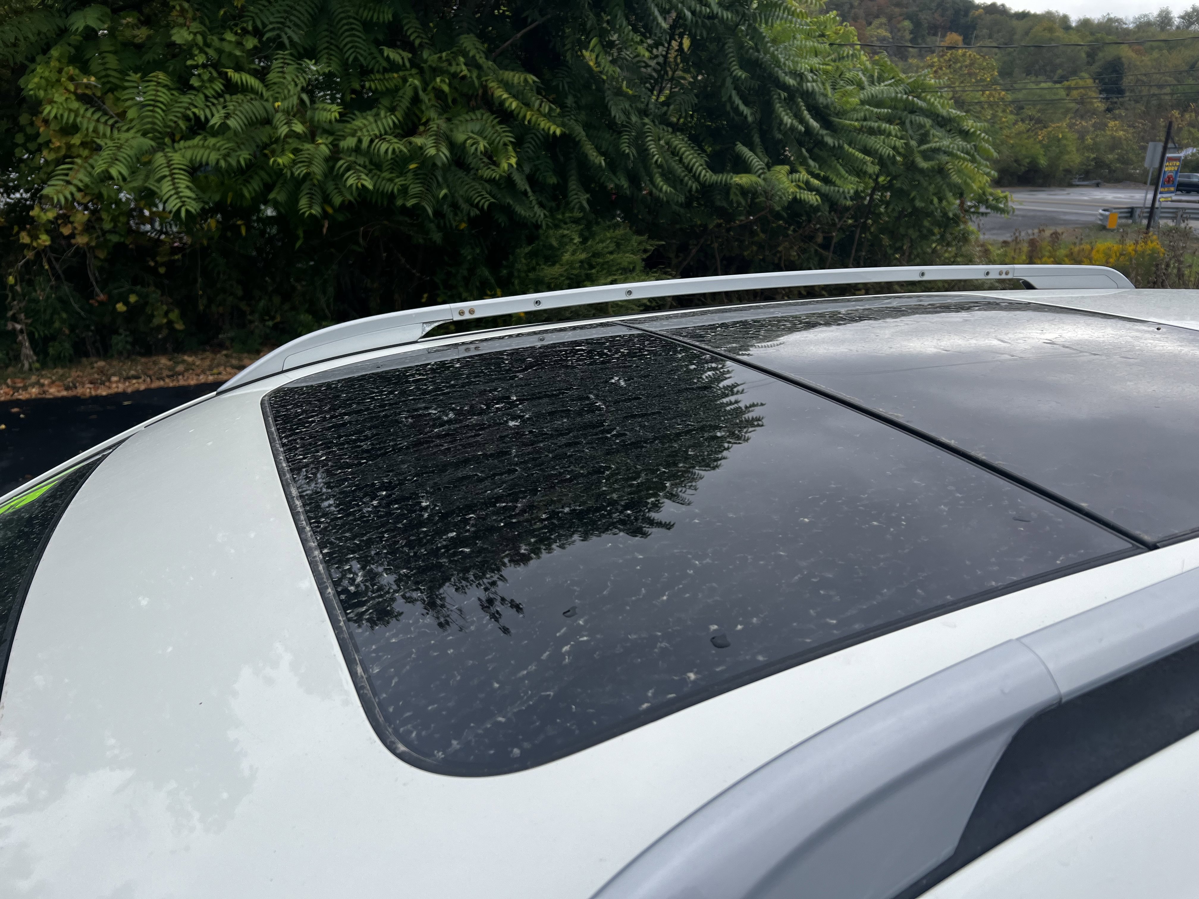 Used 2015 Nissan Rogue SL w/ SL Premium Package image 10