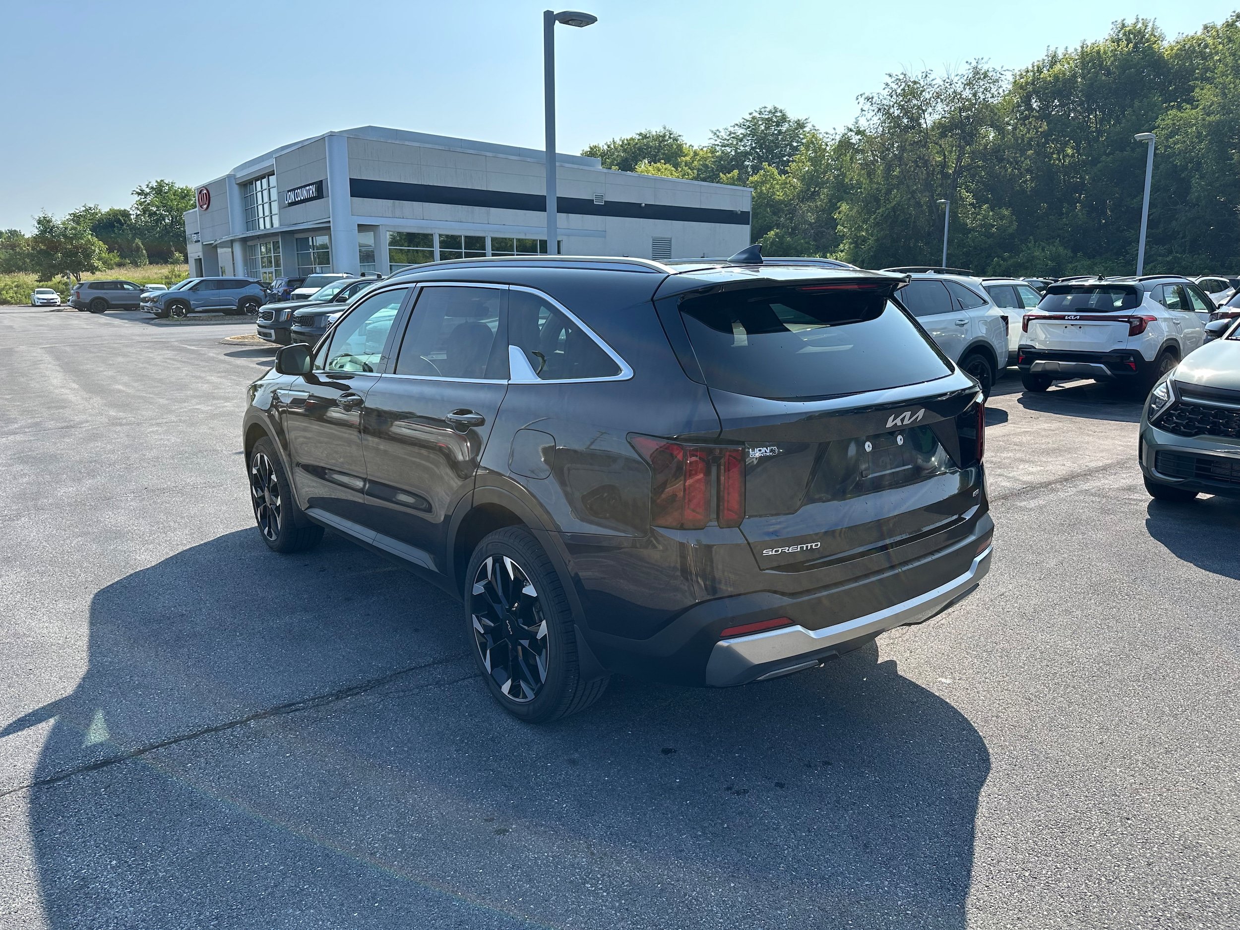 Used 2025 Kia Sorento EX w/ Panoramic Sunroof Package AWD/4WD image 7