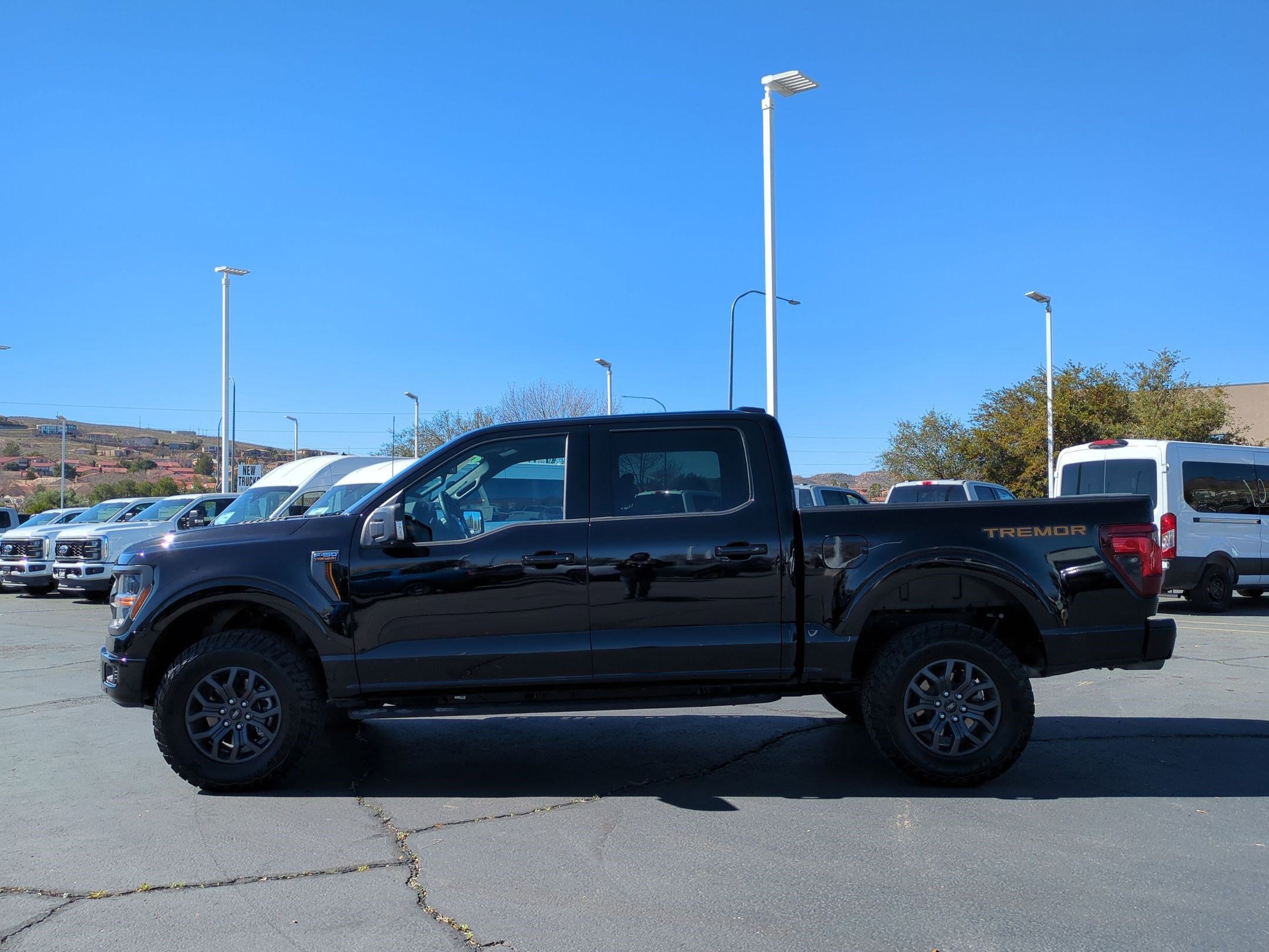 Used 2025 Ford F150 Tremor w/ Tow/Haul Package image 6