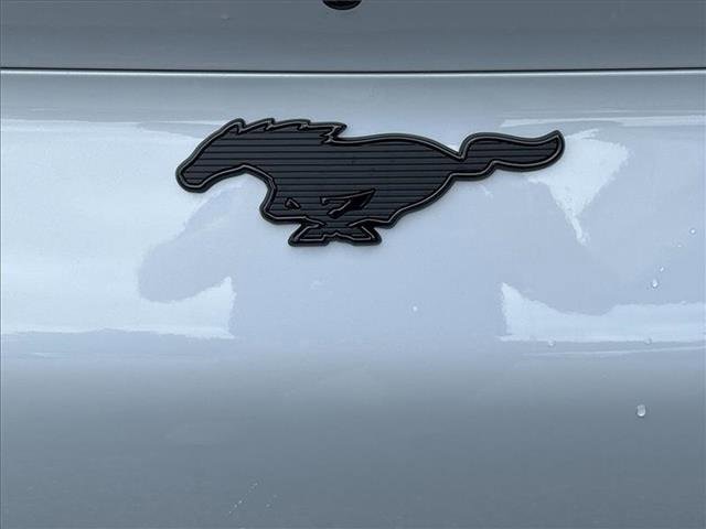 New 2023 Ford Mustang Mach-E Premium w/ Mustang Nite Pony Package image 6