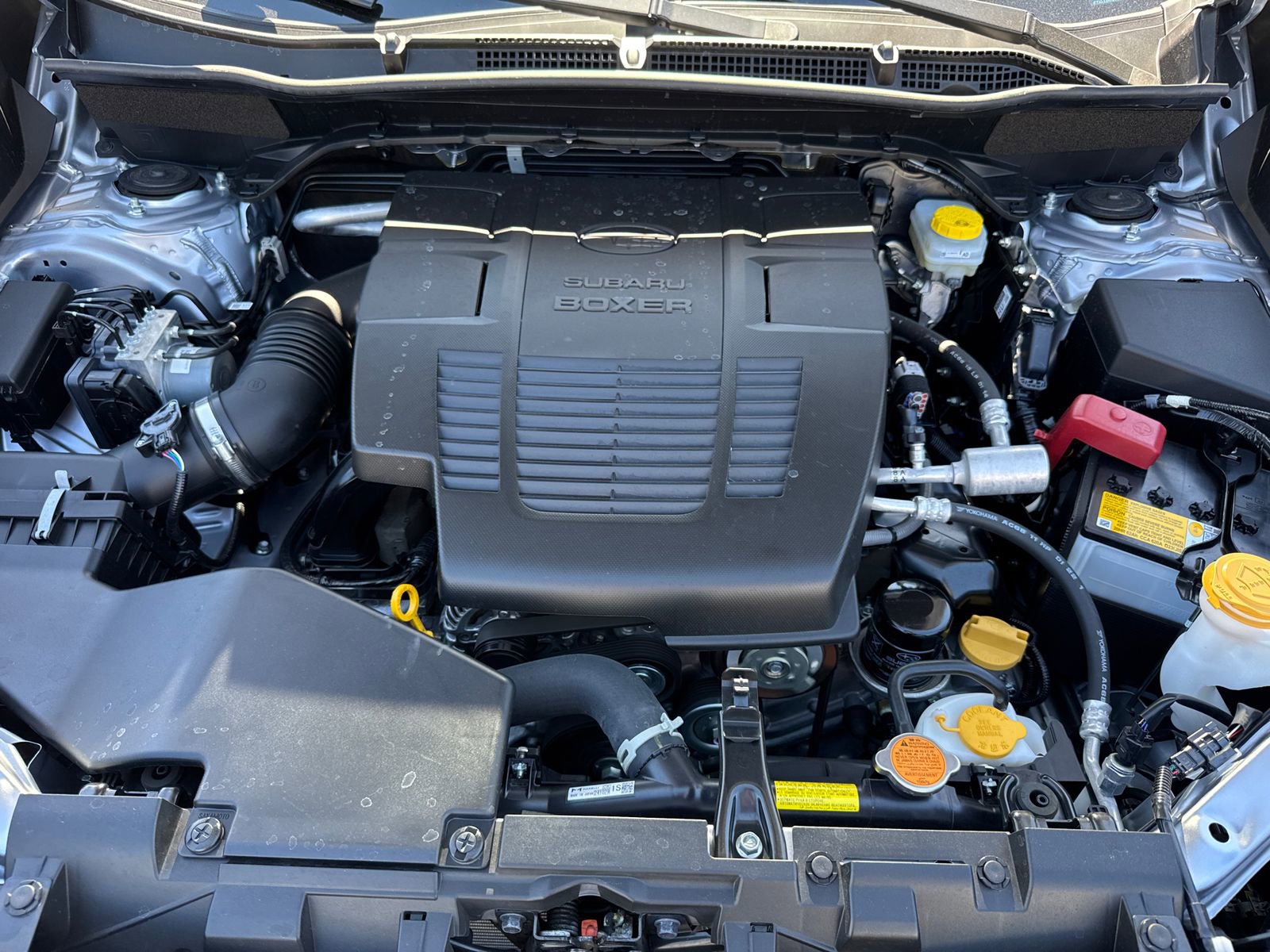 Certified 2024 Subaru Forester Wilderness w/ Wilderness Package image 6