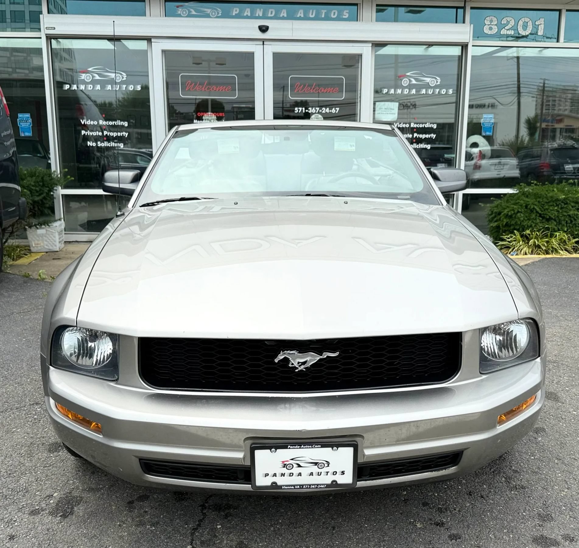 Used 2008 Ford Mustang Convertible RWD image 3