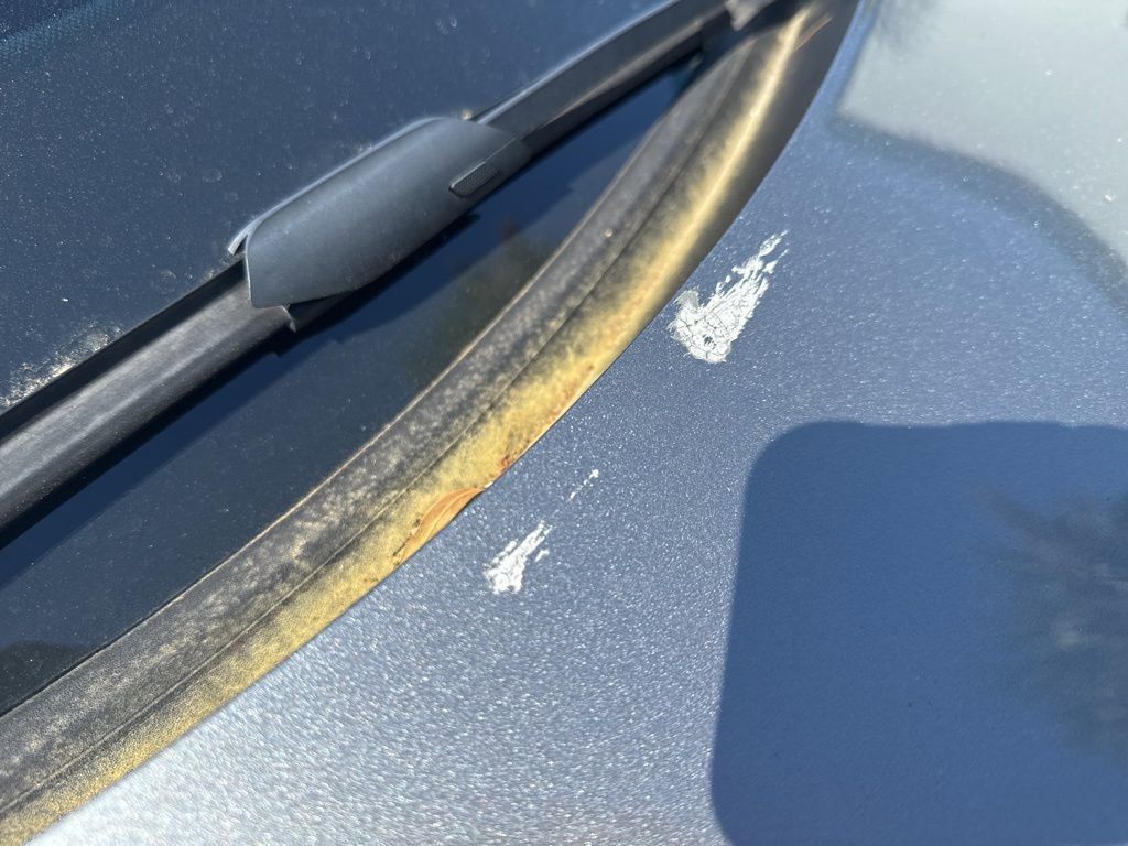 Used 2024 Cadillac Lyriq Luxury w/ LPO, Floor Liner Package image 8