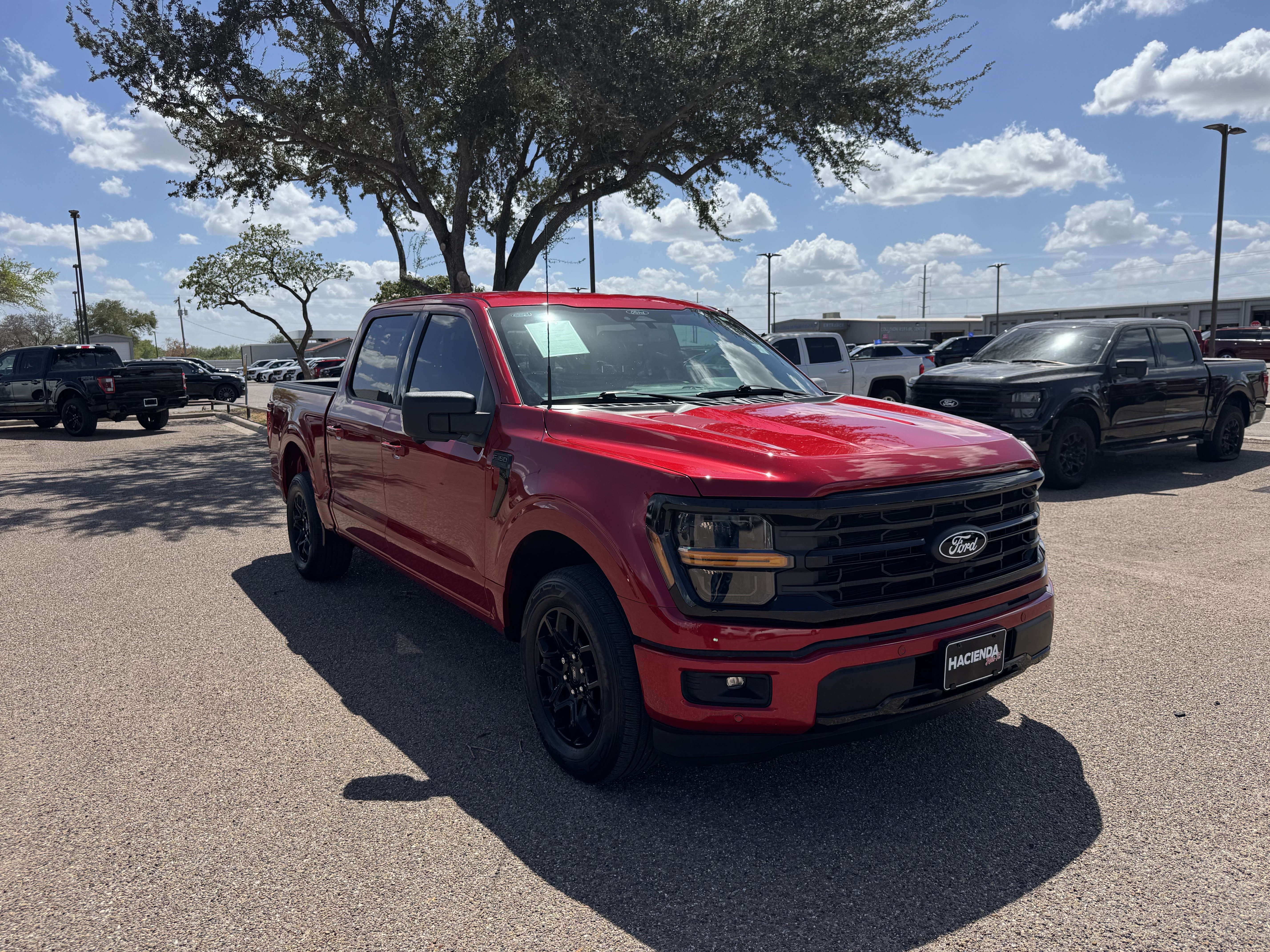 Certified 2024 Ford F150 XLT w/ Equipment Group 302A MID RWD image 5