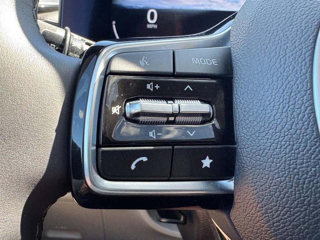 Used 2024 Kia Carnival SX Prestige image 19