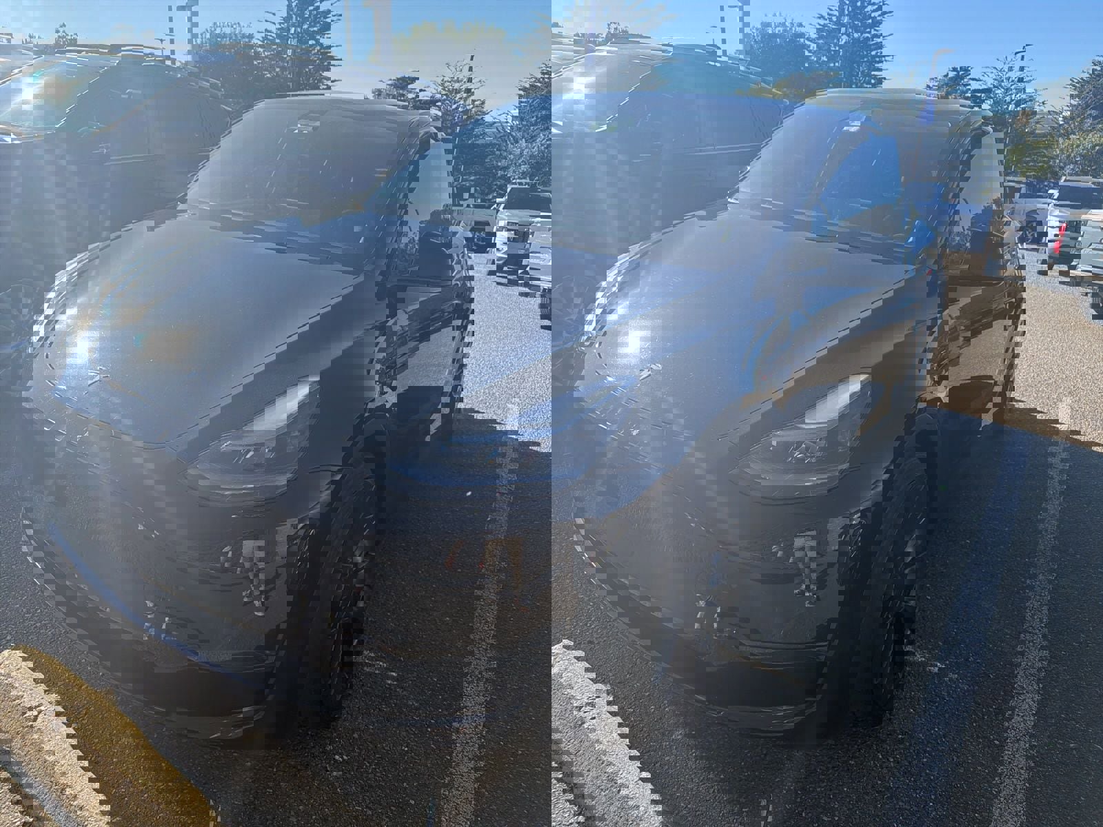 Used 2023 Tesla Model Y Performance image 3