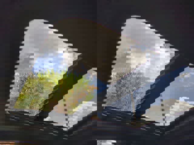 Certified 2025 Acura ADX A-Spec image 20