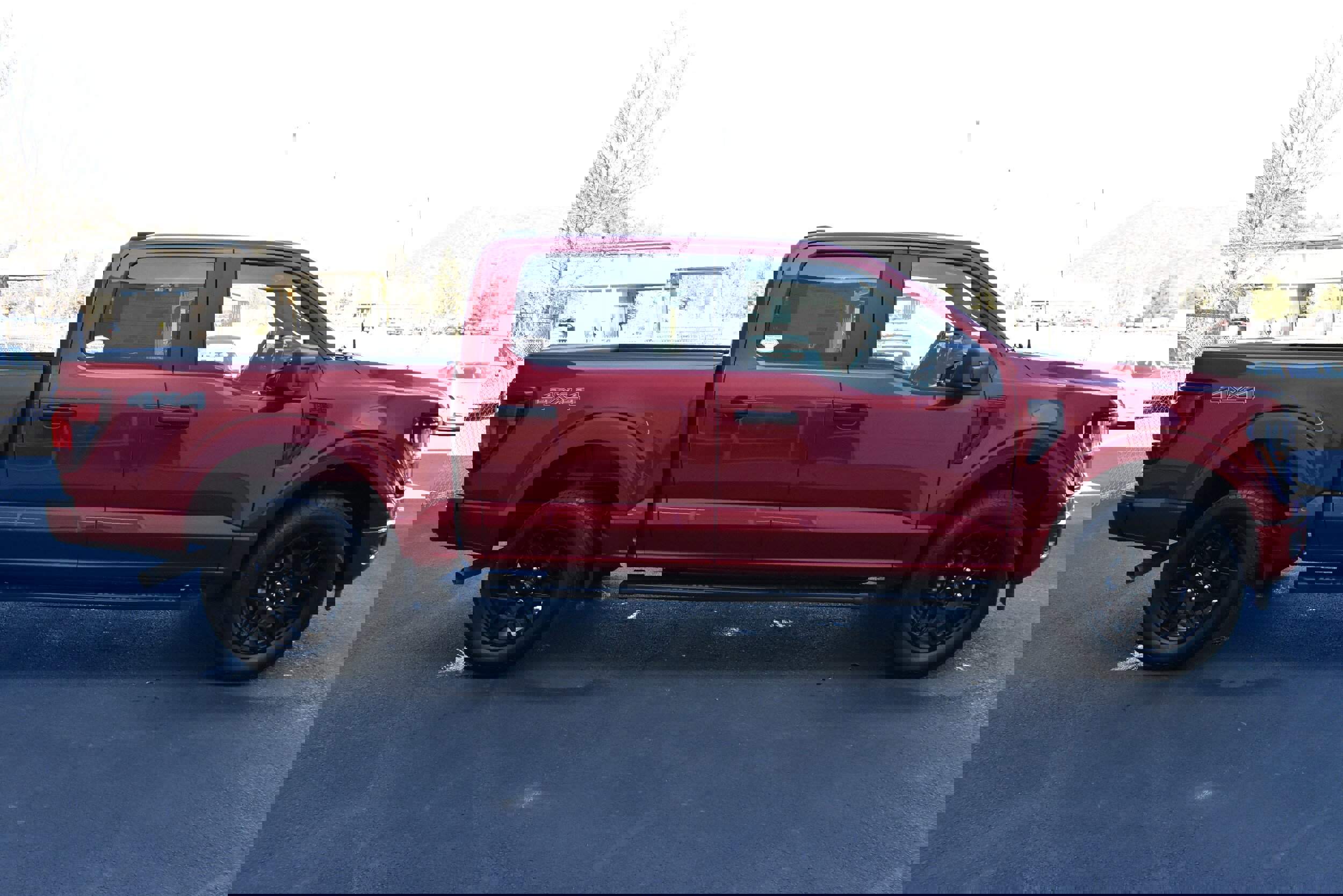 New 2025 Ford F150 STX w/ STX Black Appearance Package image 5