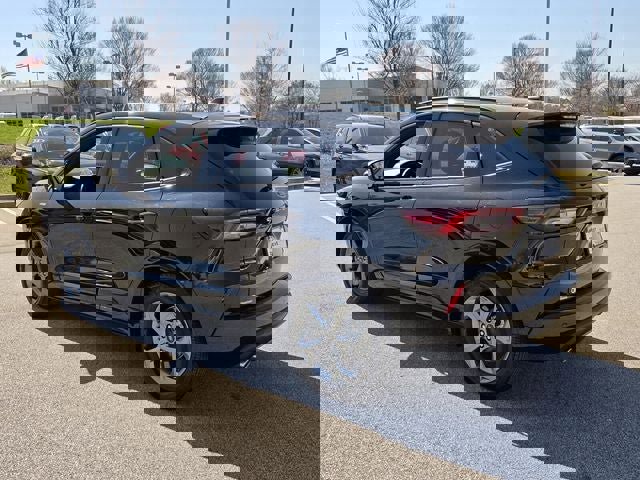 Used 2024 Ford Escape ST-Line w/ Tech Pack #1 image 5