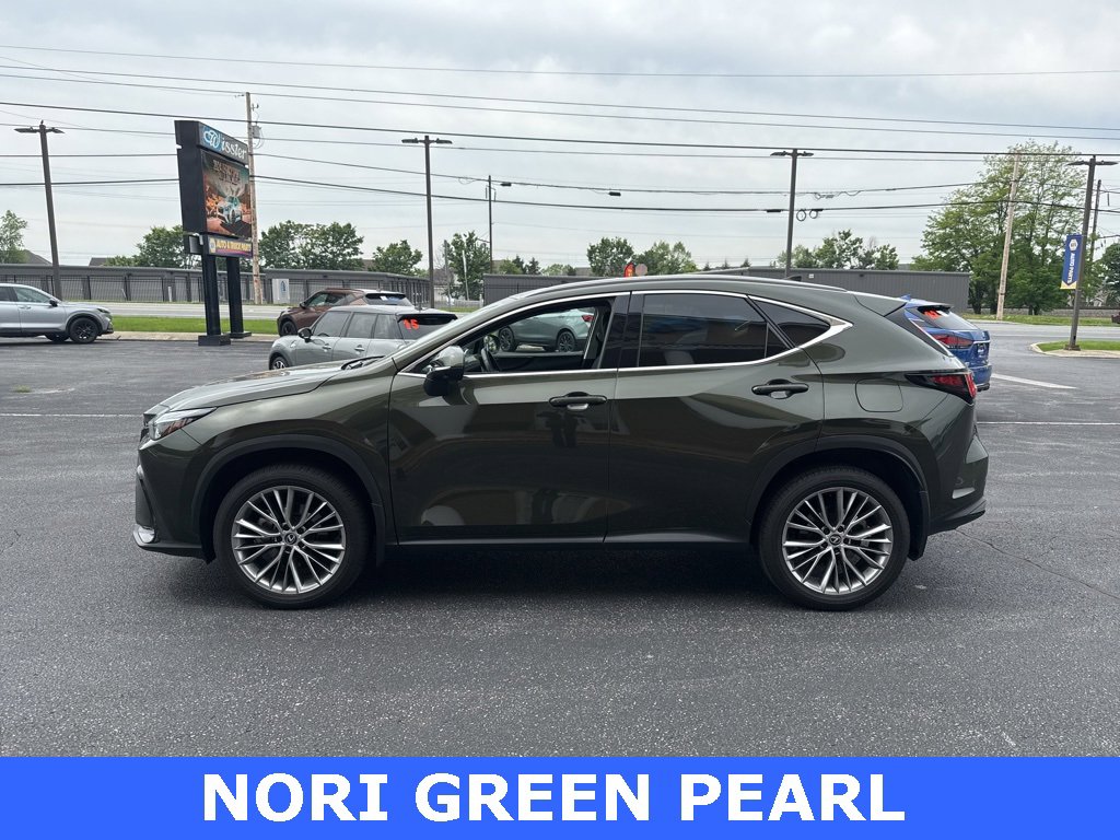 Used 2024 Lexus NX 350 AWD w/ Luxury Package image 2