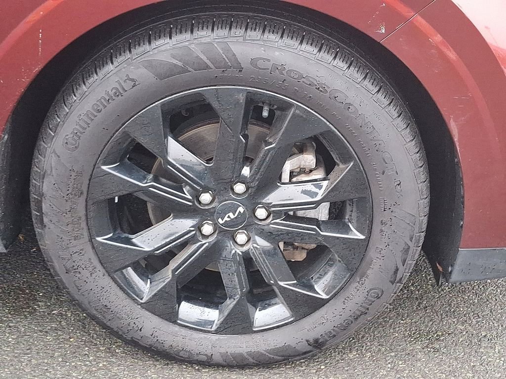 Used 2024 Kia Carnival SX Prestige image 9