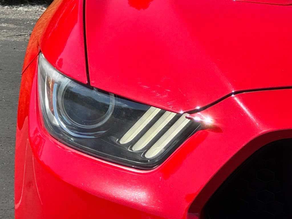 Used 2016 Ford Mustang GT Premium w/ Equipment Group 401A RWD image 4