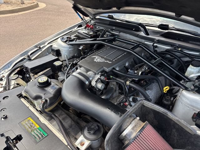 Used 2009 Ford Mustang GT Premium RWD image 10