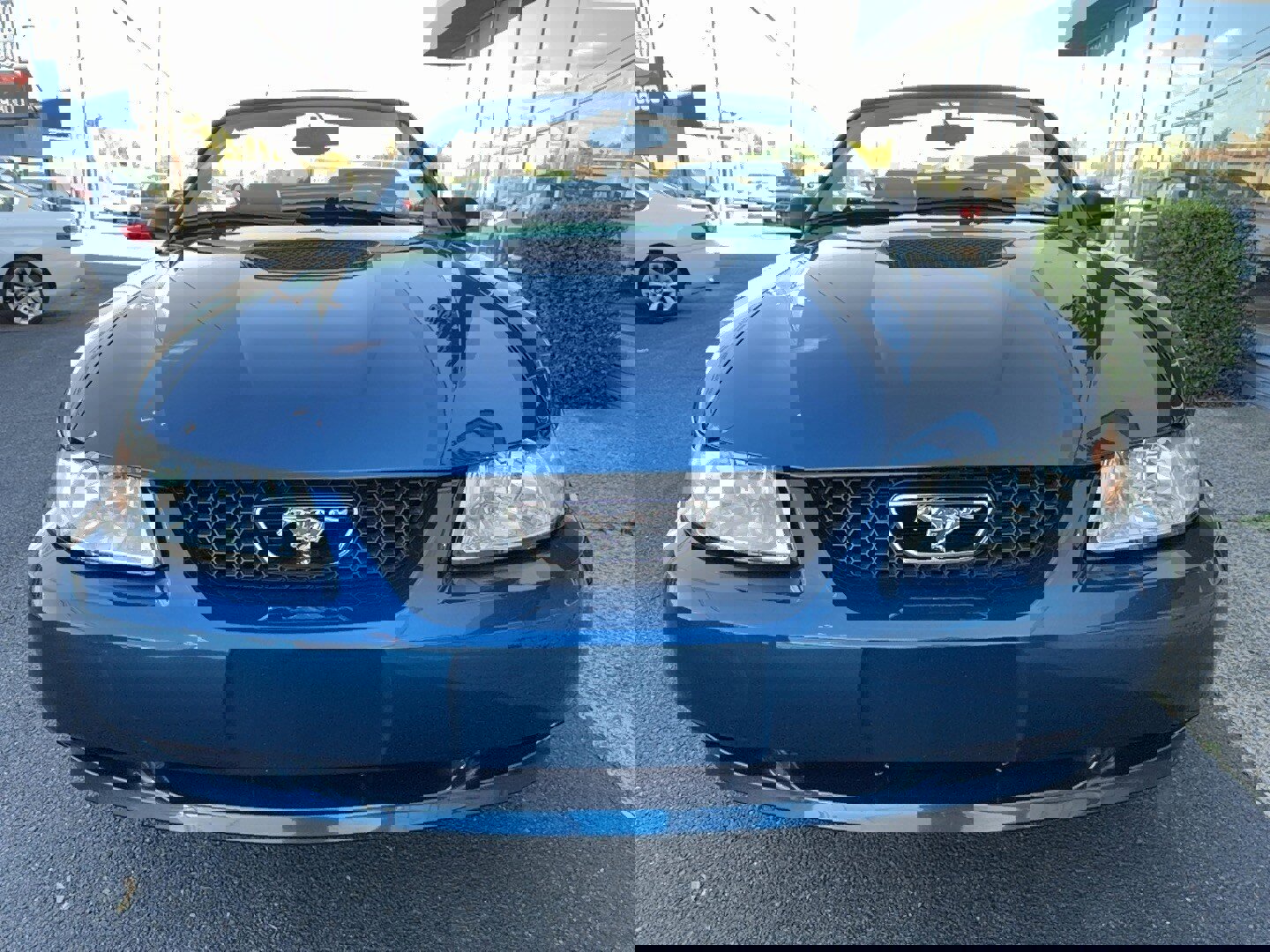 Used 2000 Ford Mustang Convertible RWD image 26