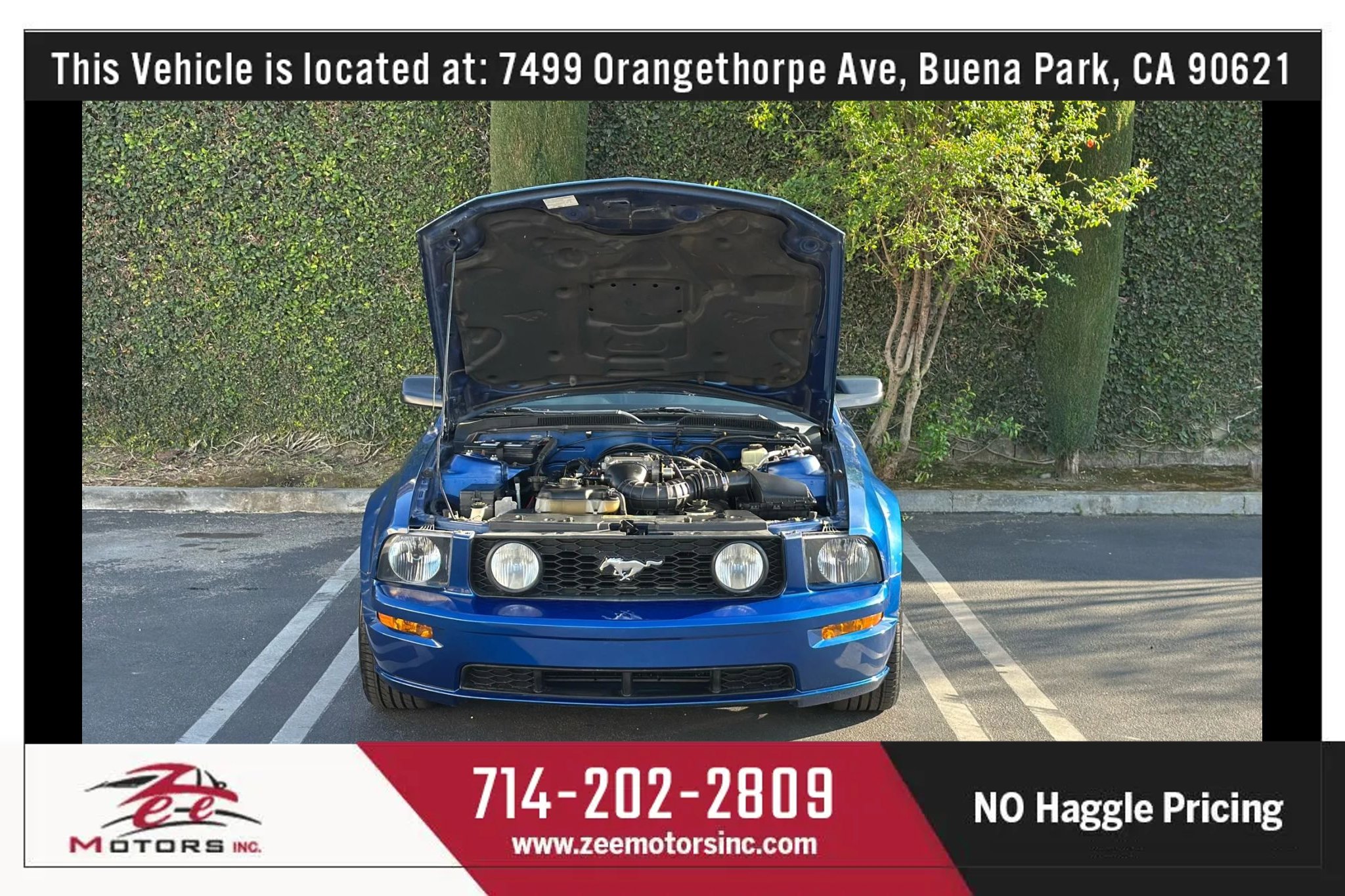 Used 2006 Ford Mustang GT image 14