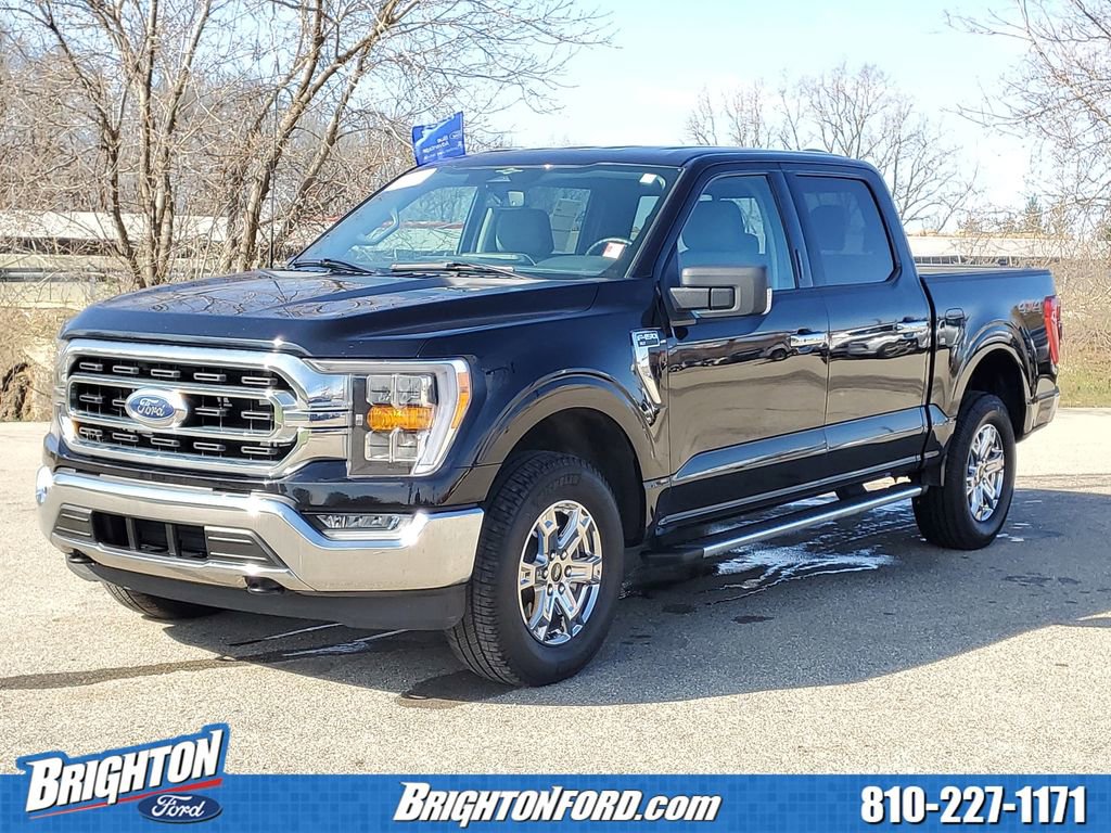 Certified 2023 Ford F150 XLT w/ Equipment Group 302A High image 2