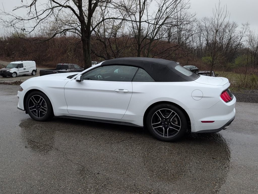 Used 2018 Ford Mustang Premium w/ Equipment Group 201A image 4