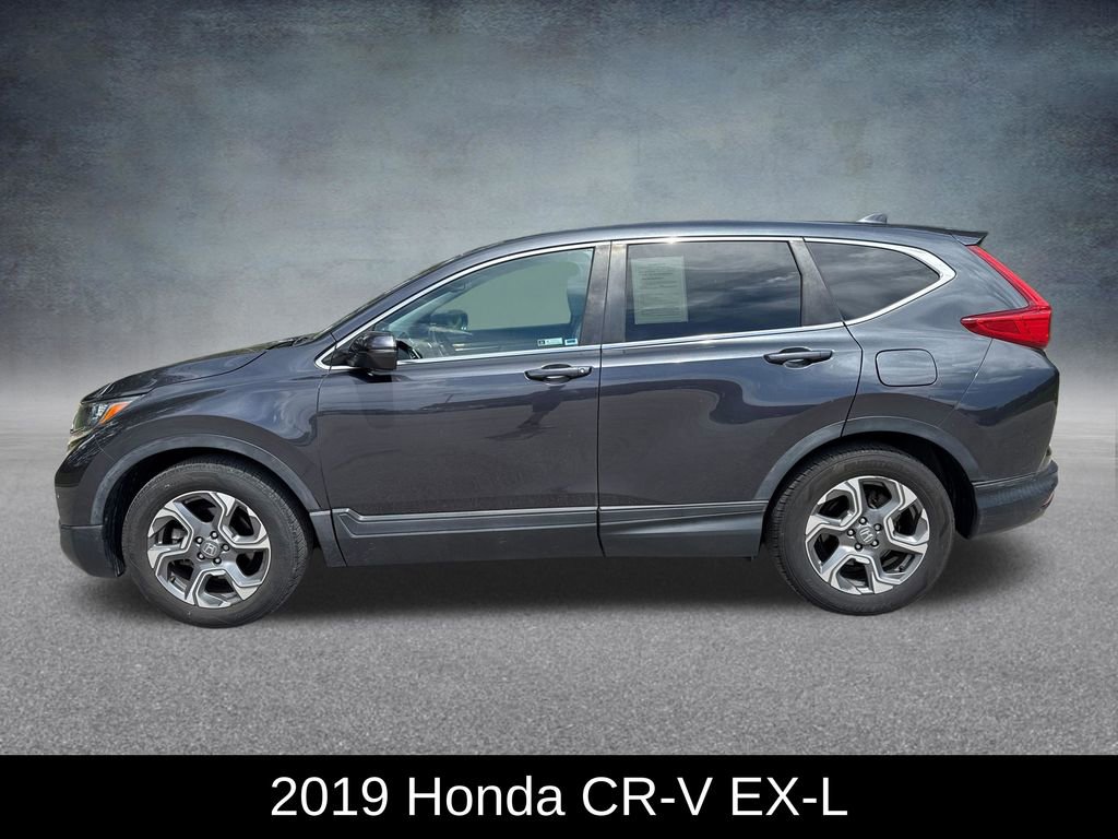 Used 2019 Honda CR-V EX-L image 2