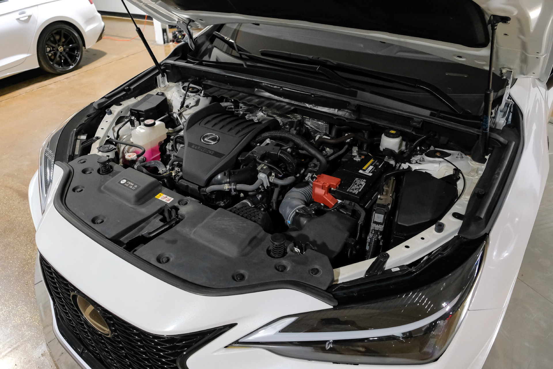 Used 2024 Lexus NX 350 F Sport AWD/4WD image 52