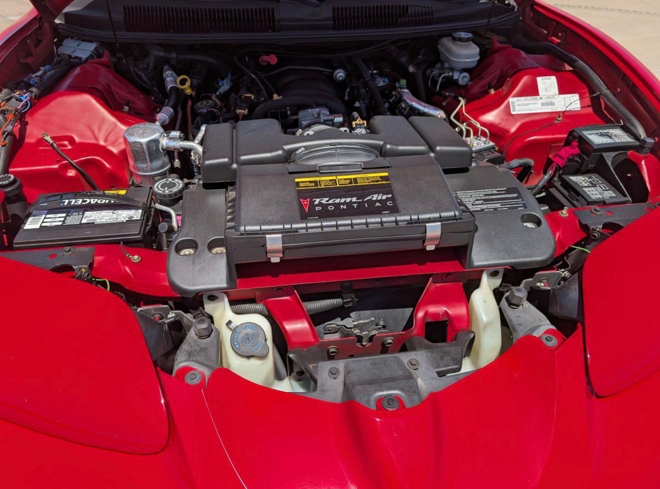 Used 1999 Pontiac Firebird Trans Am RWD image 5