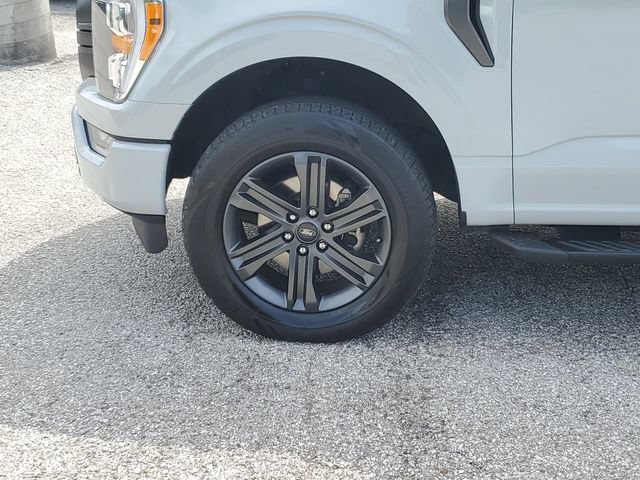 Used 2023 Ford F150 XLT w/ Equipment Group 302A High AWD/4WD image 8