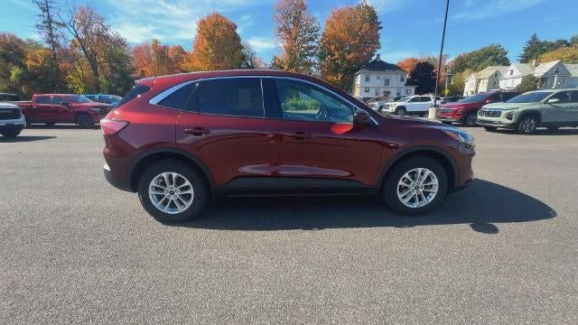 Used 2021 Ford Escape SE w/ Cold Weather Package image 9