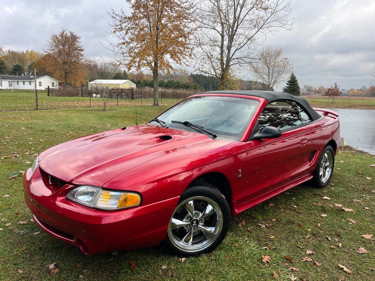 Used 1996 Ford Mustang Cobra