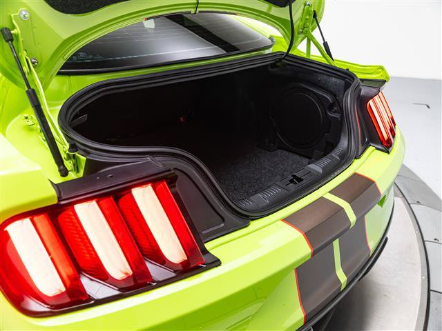 Used 2020 Ford Mustang Shelby GT350R w/ GT350R Equipment Group 920A RWD image 39