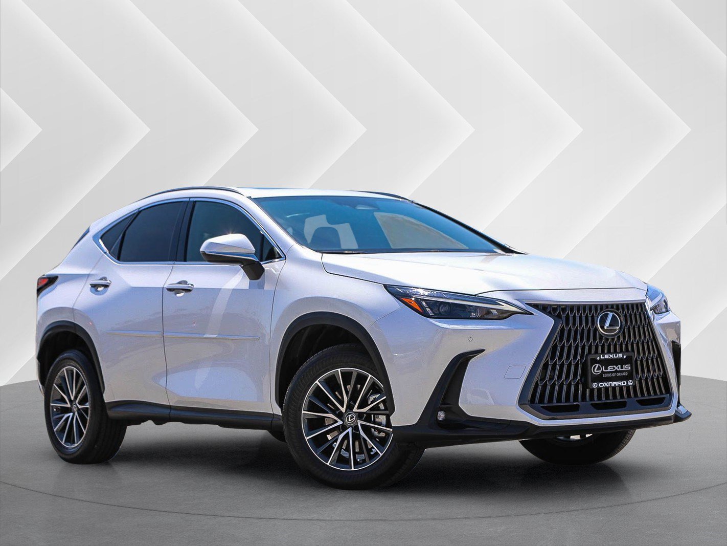 Certified 2022 Lexus NX 350h AWD w/ Package Accessory (P3) image 1