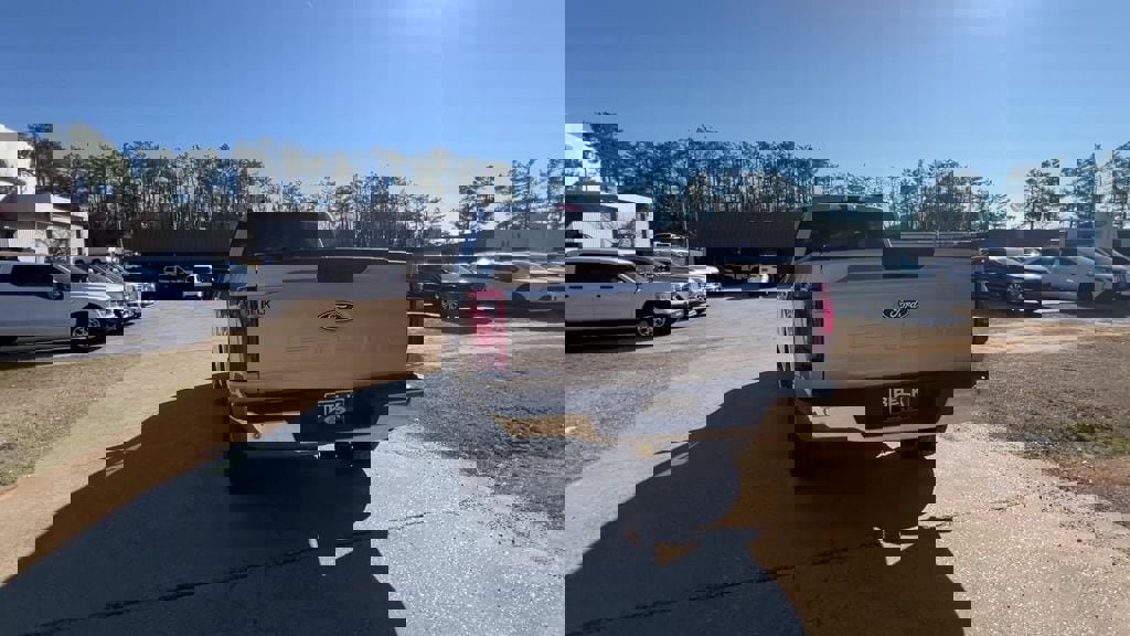 Used 2025 Ford F150 XLT w/ Equipment Group 301A Standard image 6