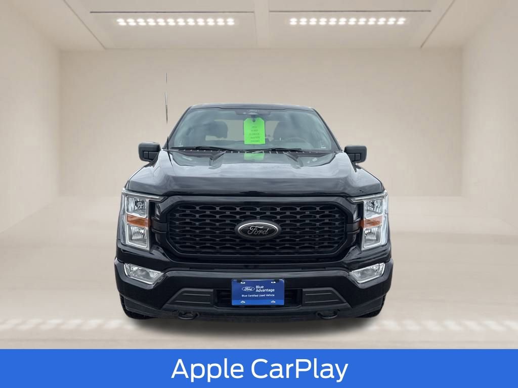 Used 2022 Ford F150 XL w/ STX Black Appearance Package video 2