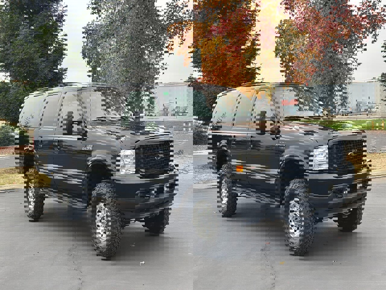 Used 2003 Ford Excursion Limited image 6