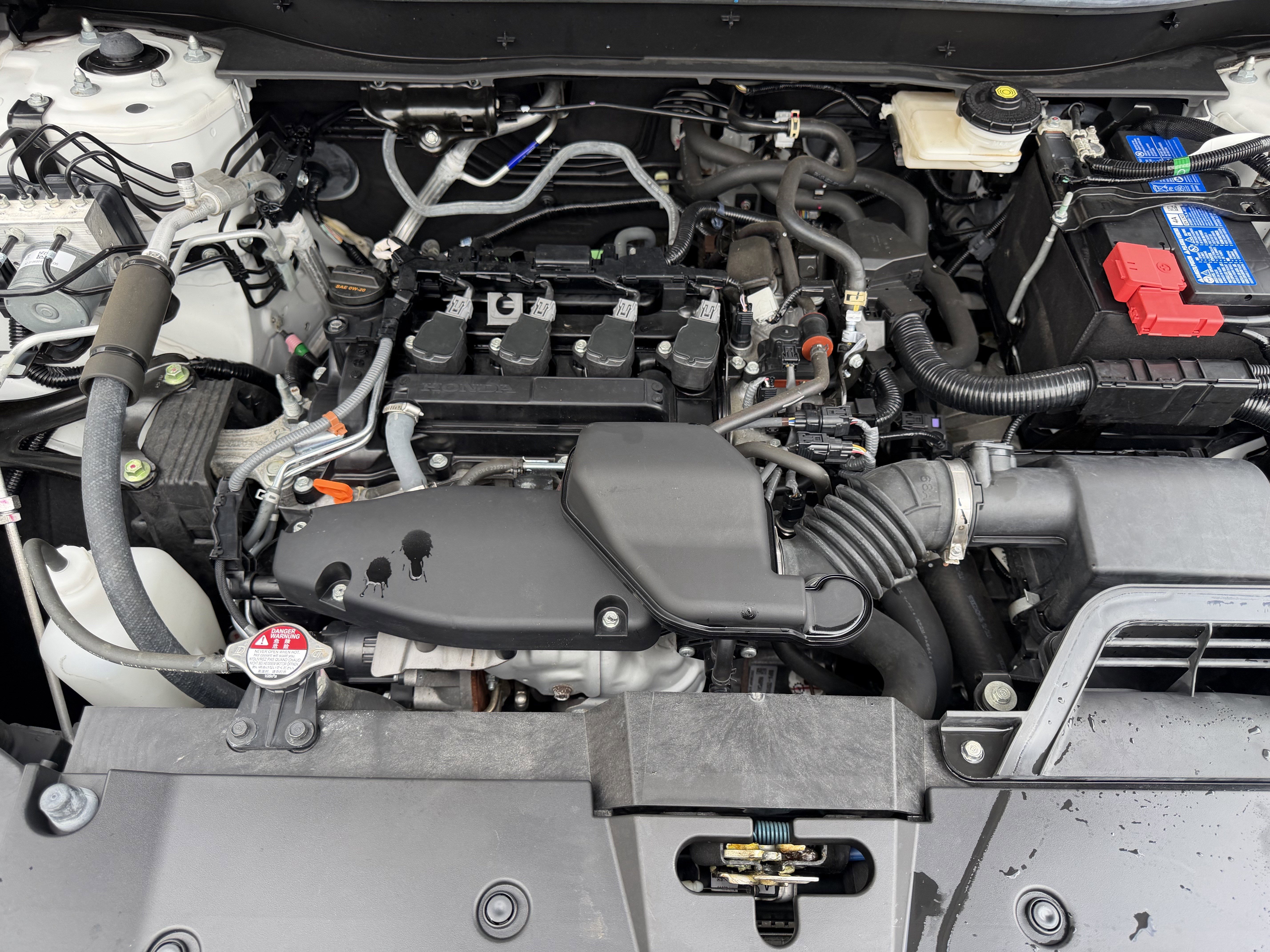 Certified 2024 Honda CR-V EX-L image 29