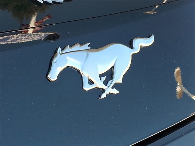 New 2025 Ford Mustang EcoBoost image 10