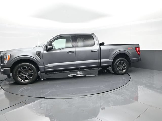 Used 2023 Ford F150 XLT w/ Equipment Group 302A High AWD/4WD image 5