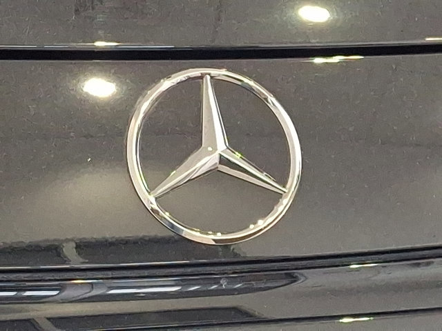 Used 2024 Mercedes-Benz AMG GT 55 image 29