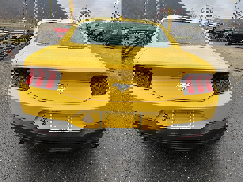 Used 2024 Ford Mustang EcoBoost image 5