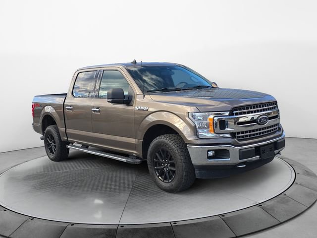 Used 2019 Ford F150 XLT w/ Equipment Group 302A Luxury image 7