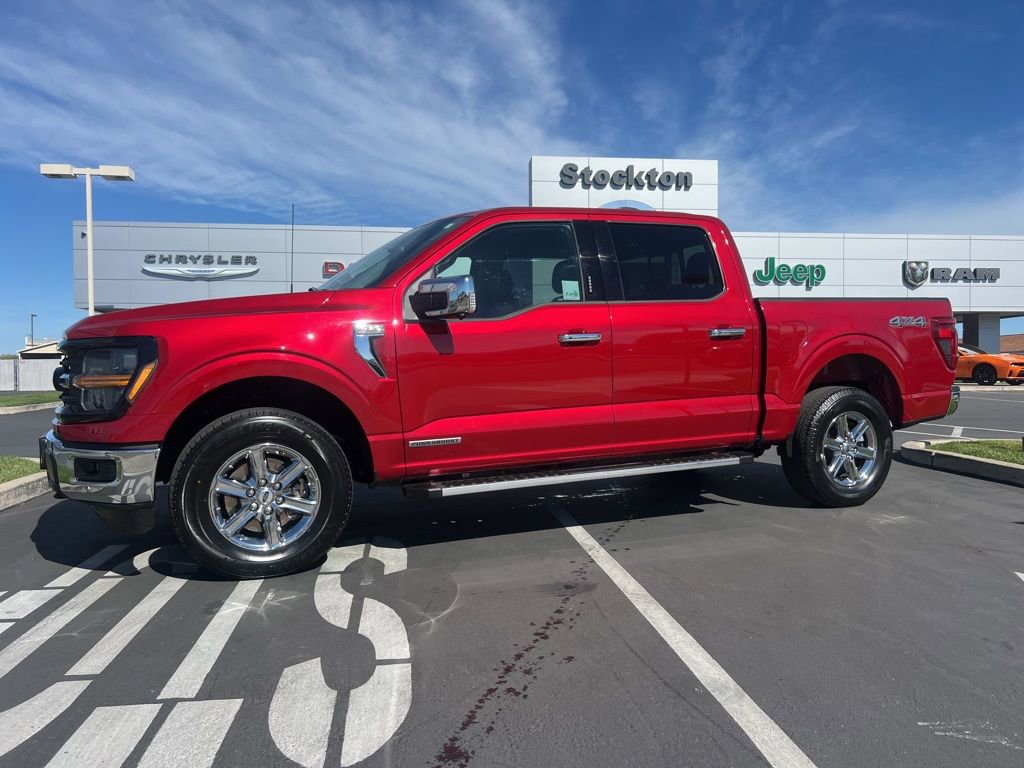Used 2024 Ford F150 XLT w/ Equipment Group 302A MID AWD/4WD image 1