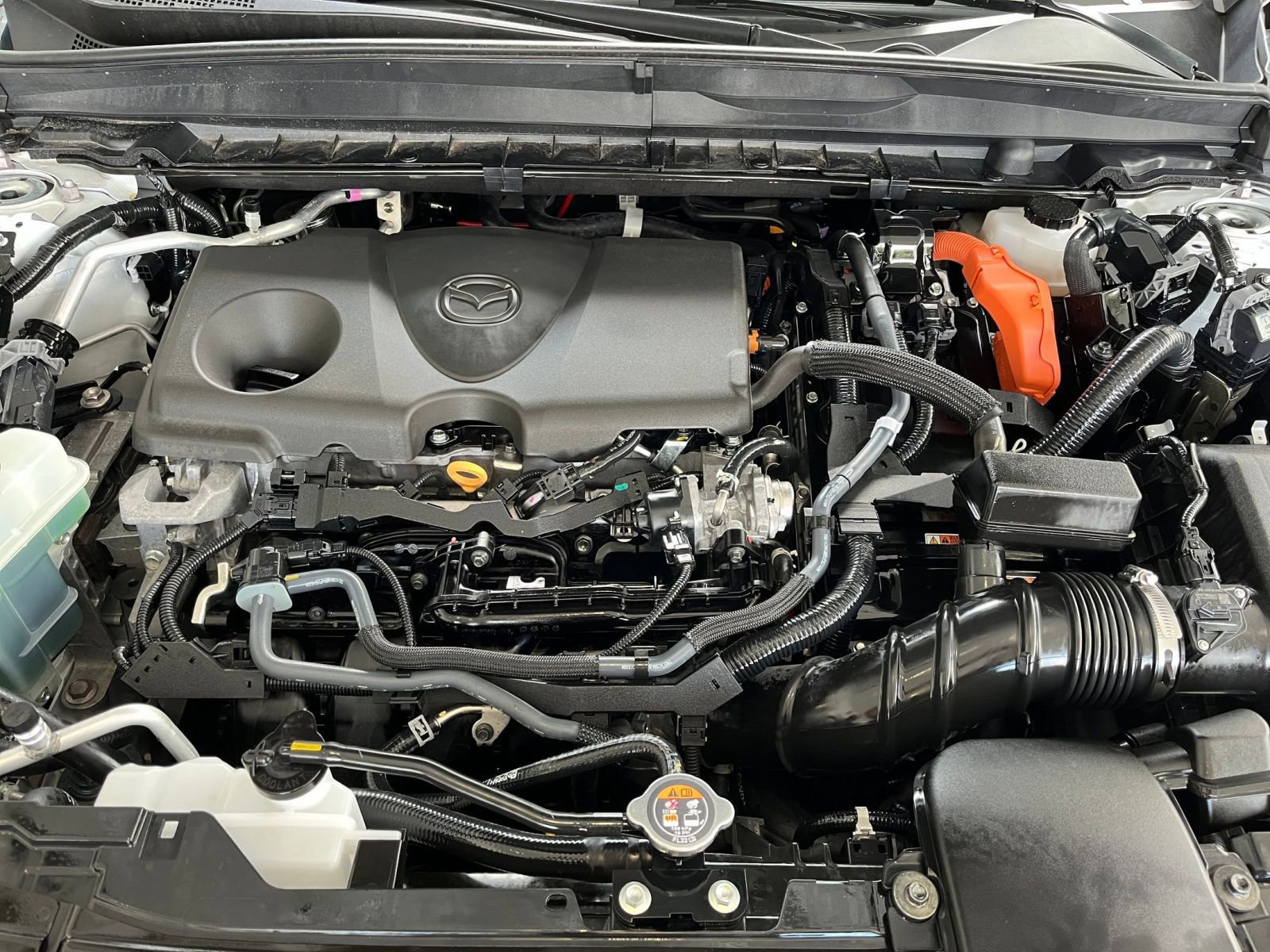 Used 2025 MAZDA CX-50 2.5 Hybrid w/ Premium Plus Pkg image 34