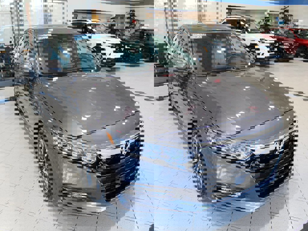 Certified 2019 Honda Accord EX-L image 3