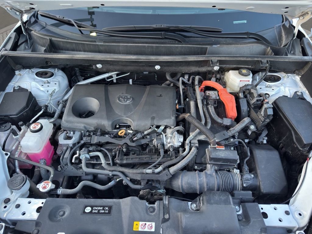 Used 2024 Toyota RAV4 LE image 19