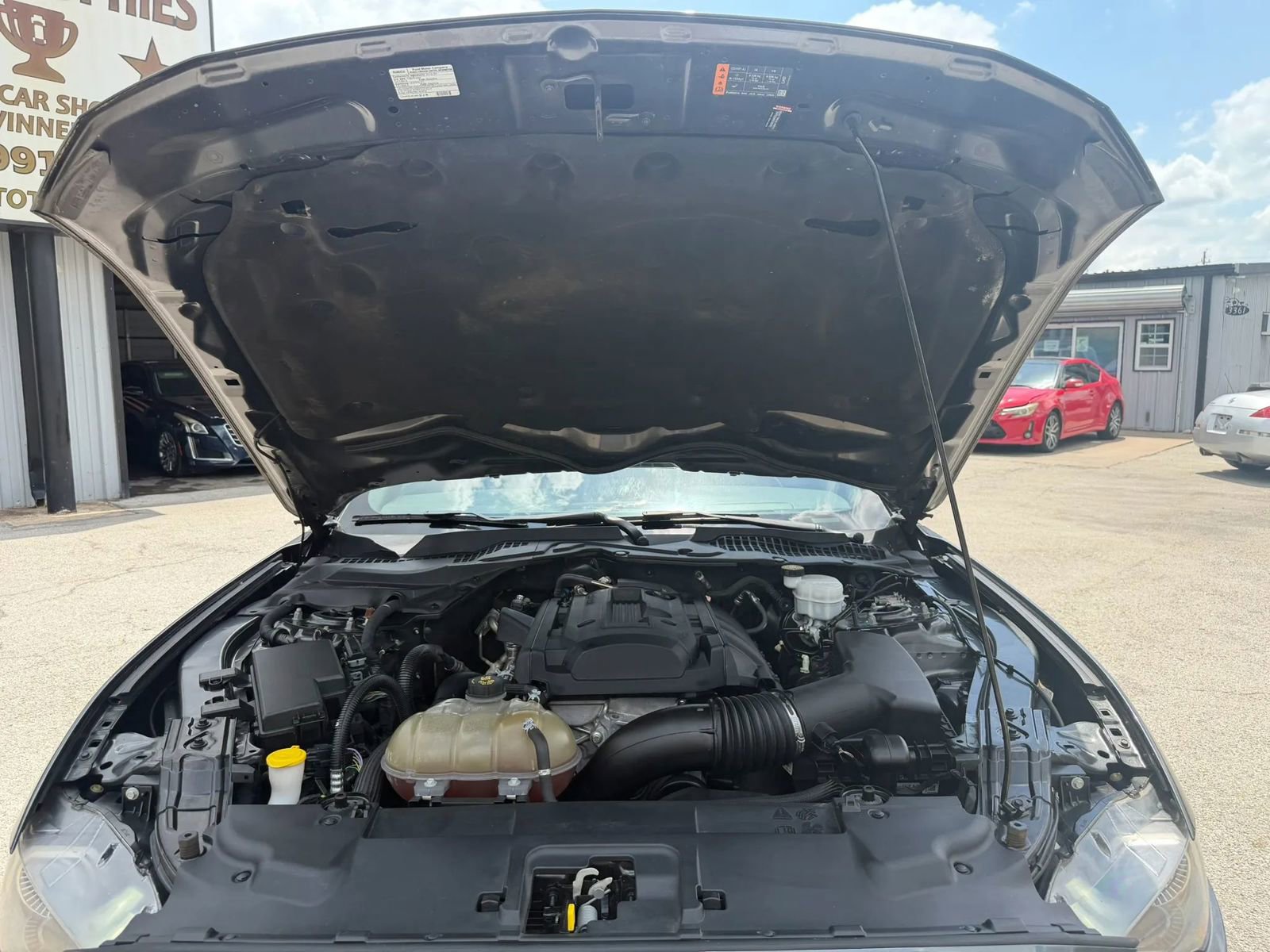 Used 2019 Ford Mustang Coupe image 23