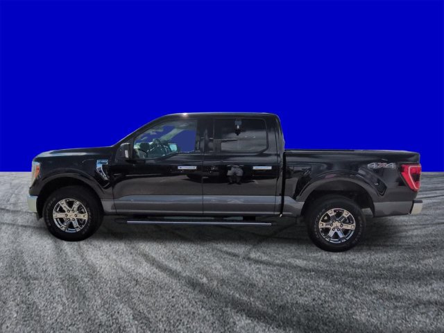 Certified 2021 Ford F150 XLT w/ Equipment Group 302A High AWD/4WD image 7