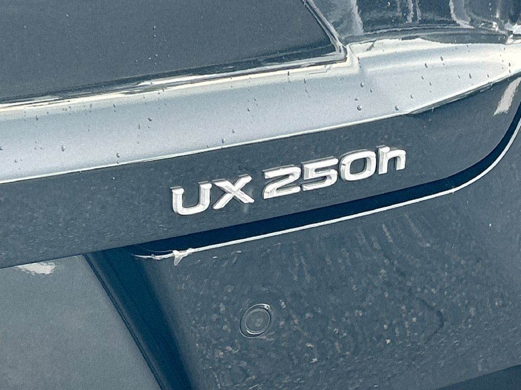 Used 2024 Lexus UX 250h FWD w/ Premium Package image 19
