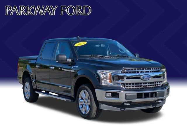 Used 2020 Ford F150 XLT w/ Equipment Group 302A Luxury AWD/4WD image 7