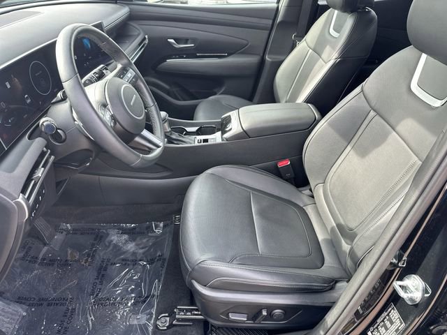 Used 2025 Hyundai Santa Cruz Limited image 15