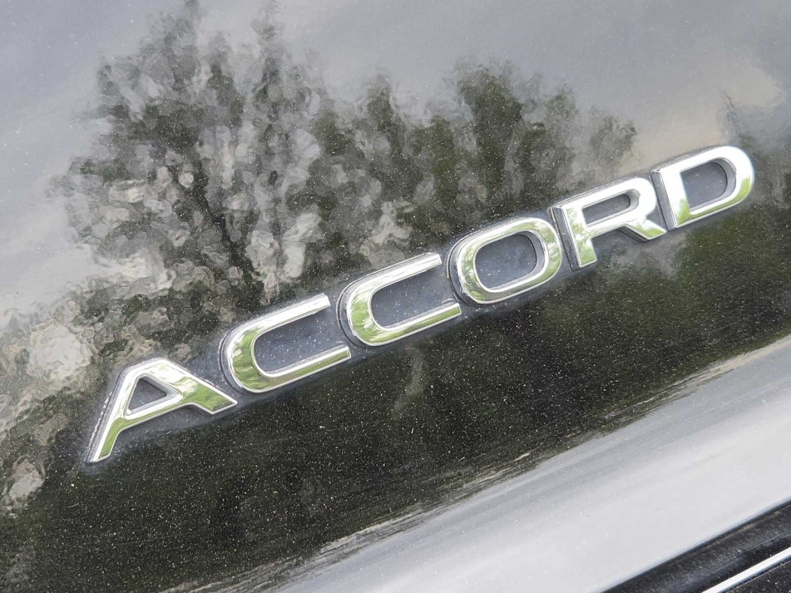 Certified 2024 Honda Accord EX image 14